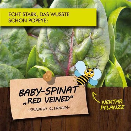 Bio Baby-Spinat