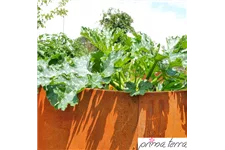 PRIMA TERRA HOCHBEET OPTIMUS 75x75 cm