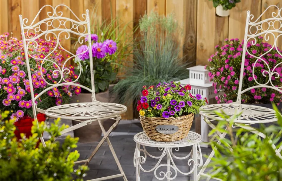 So bekommen Sommerblumen Wachstumsschübe