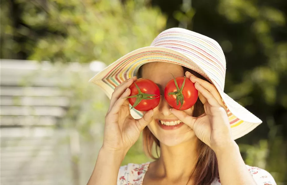 Tomaten, Chili und Co. – Zeit für die erste Aussaat