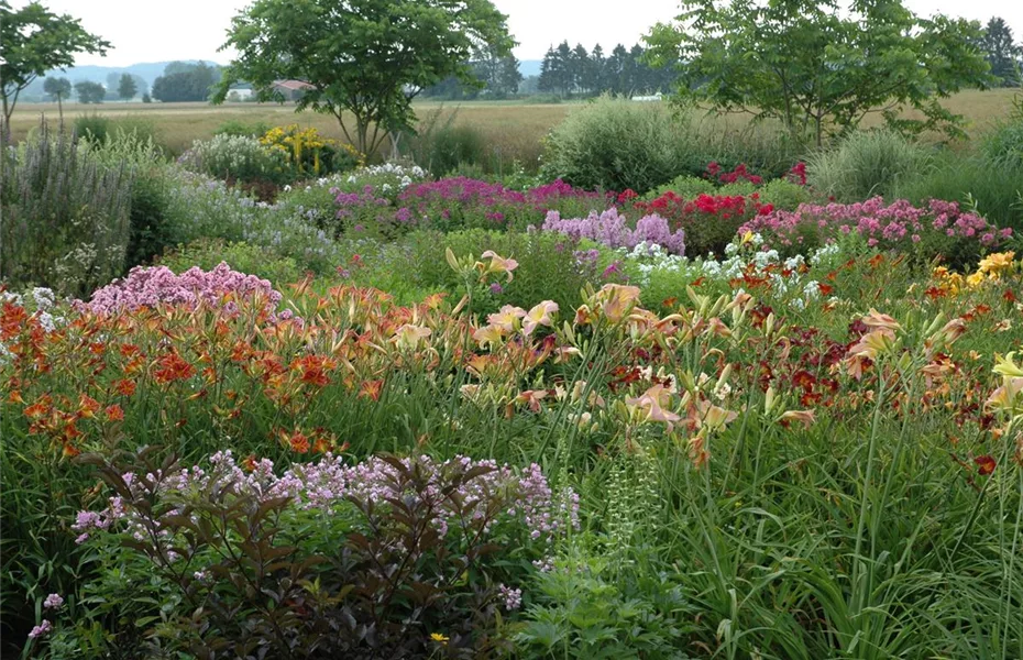 Das Staudenbeet – ein Blütenmeer im Garten