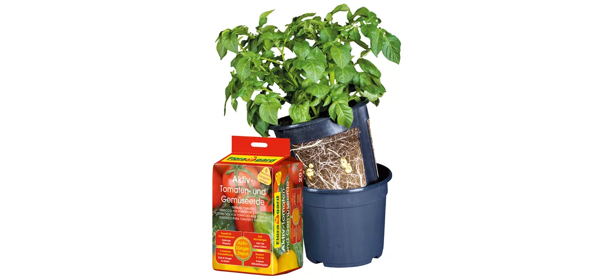 Floragard Potato Pot Set