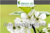 Gutschein Online