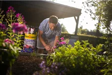 Floragard Aktiv Pflanzenerde für Balkon und Geranien 1 Sack x 20 Liter