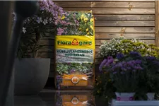 Floragard Kübelpflanzenerde mediterran 1 Sack x 40 Liter