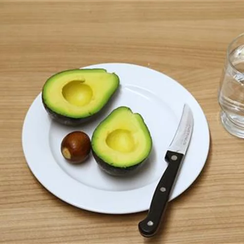 Wie geht das? - Avocado ziehen