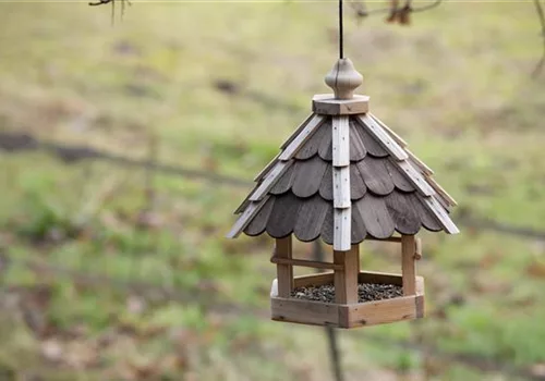 Das Vogelhaus – Schutz und Nahrung im Winter