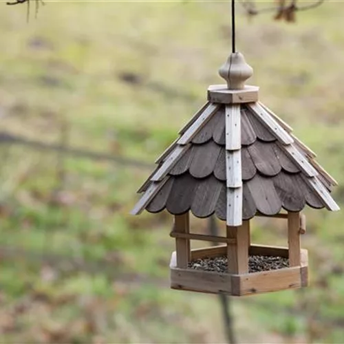 Das Vogelhaus – Schutz und Nahrung im Winter