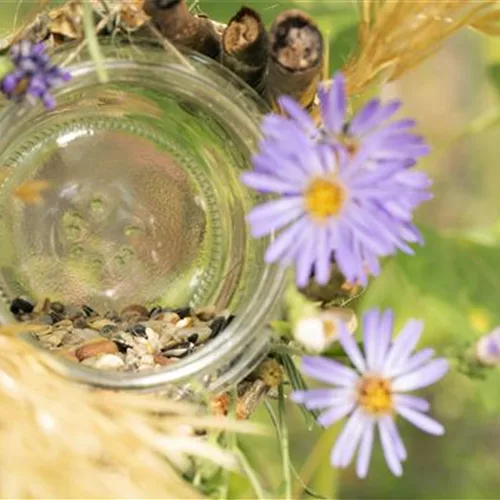 Futter-Stopp für Vögel – Vogelhaus aus Weckglas