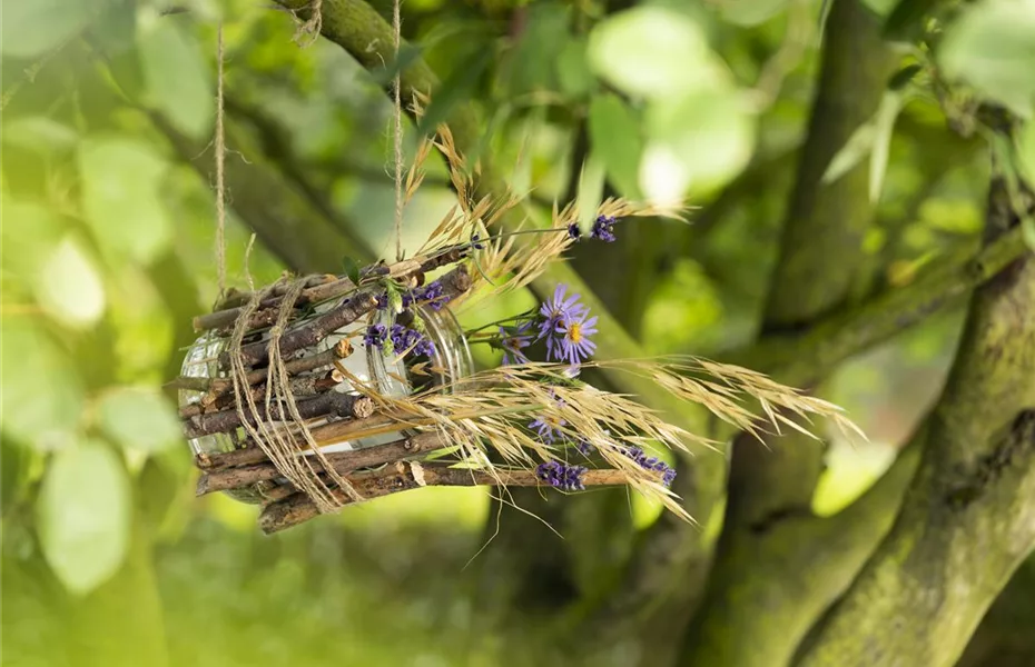 Futter-Stopp für Vögel – Vogelhaus aus Weckglas