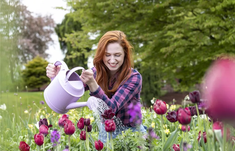 Flüssigdünger: So bleiben Blumen fit!