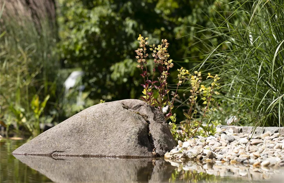 Der Gartenteich im Winter – die richtige Pflege