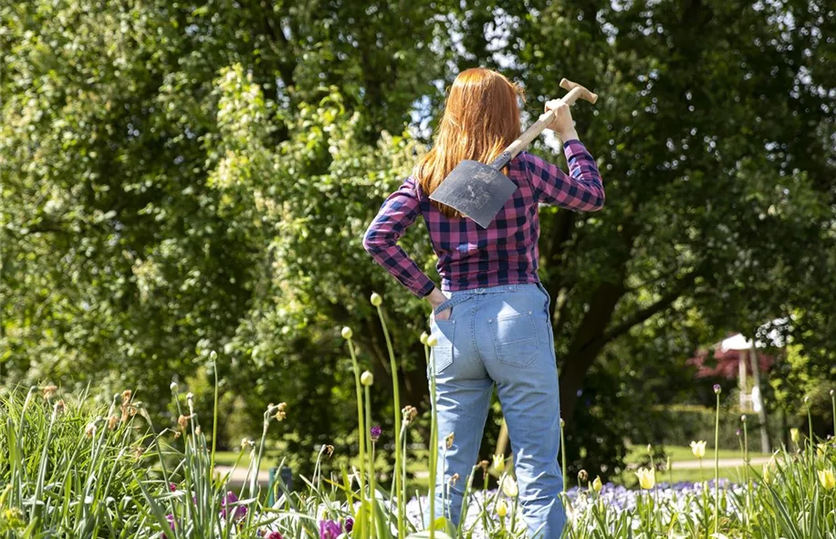 Gartenwerkzeuge gehören zum Gartenbedarf einfach dazu