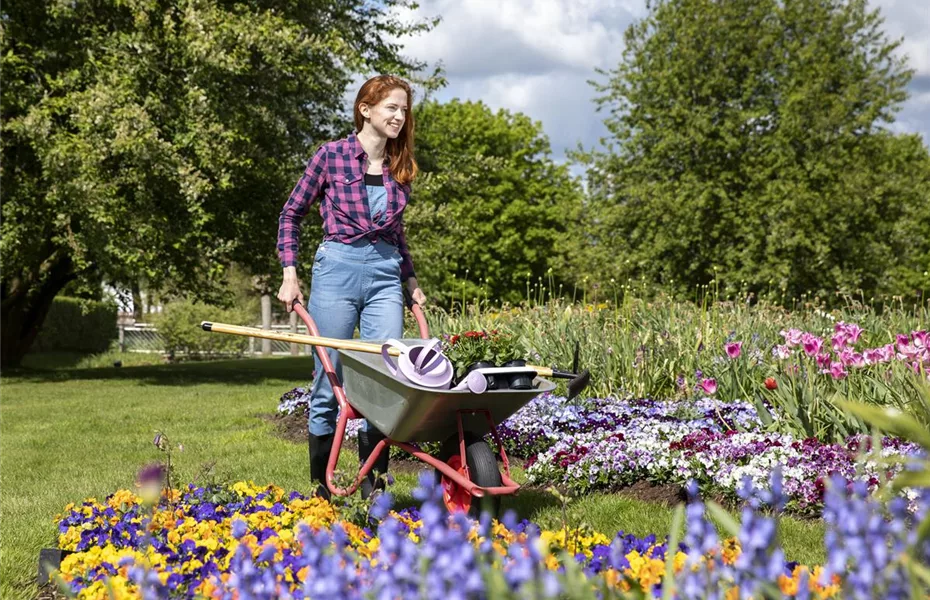 TÜV für Gartenwerkzeuge – Check-up im Winter