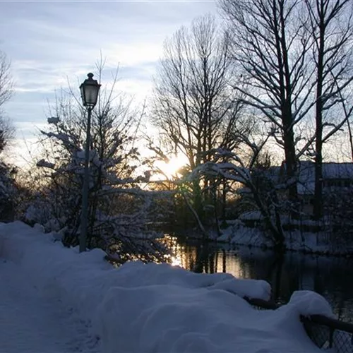 Lichter im Garten – Weihnachten kann kommen