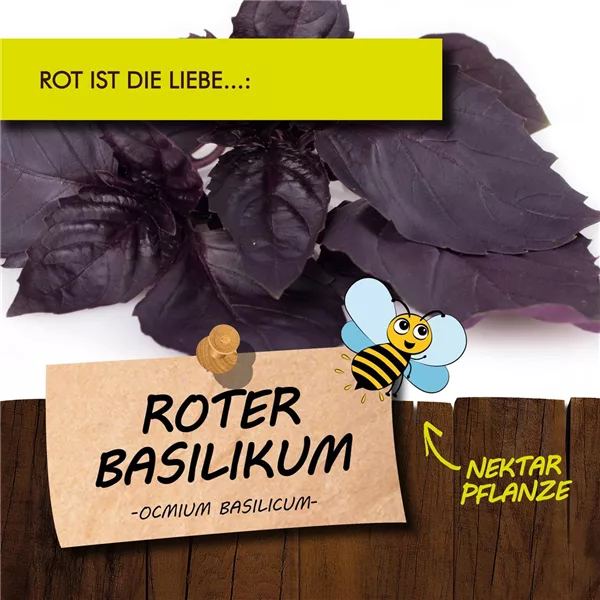 Bio Roter Basilikum