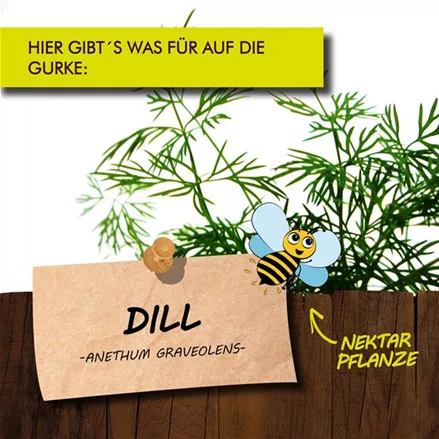 Bio Dill