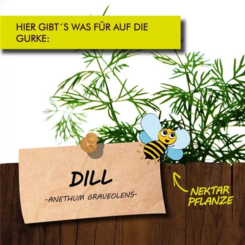 Bio Dill