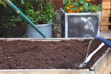 Salat - Anzucht mit Saatbändern Salat - Anzucht mit Saatbändern