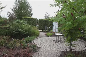 Gartengestaltung 1 - Feuriger Garten Gartengestaltung 1 - Feuriger Garten