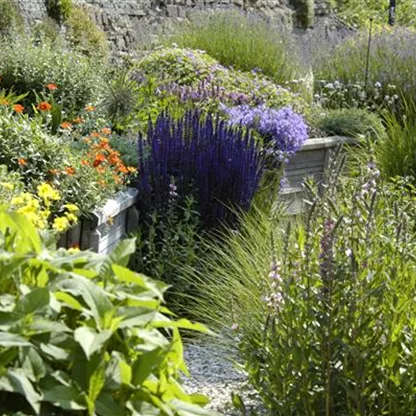 Das Staudenbeet – ein Blütenmeer im Garten