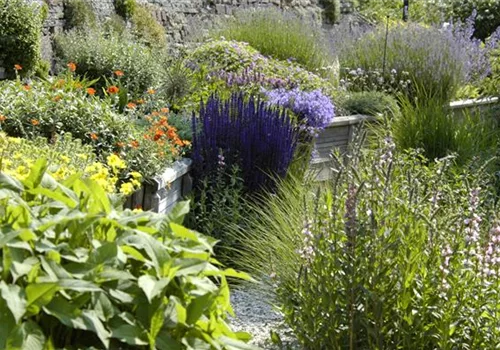 Das Staudenbeet – ein Blütenmeer im Garten