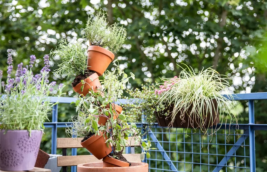 Urban Gardening: Garten trotz wenig Platz