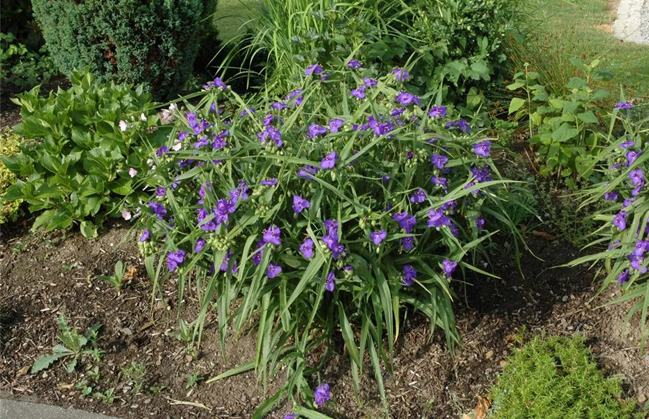 Auch Gartenböden vertragen Unterstützung