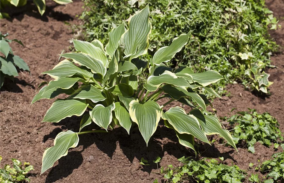 Auch Gartenböden vertragen Unterstützung