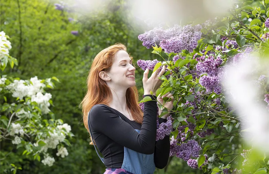 Bäume und Sträucher als Alternative für Blumenbeete