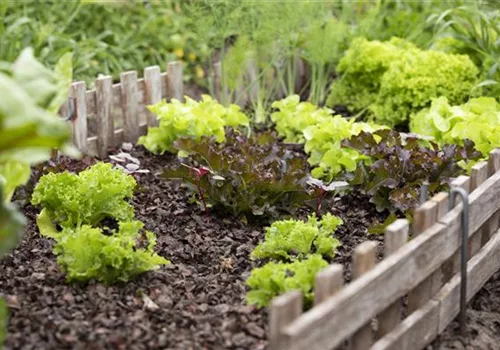 Richtige Blumenerde - Lebenselixier für Pflanzen