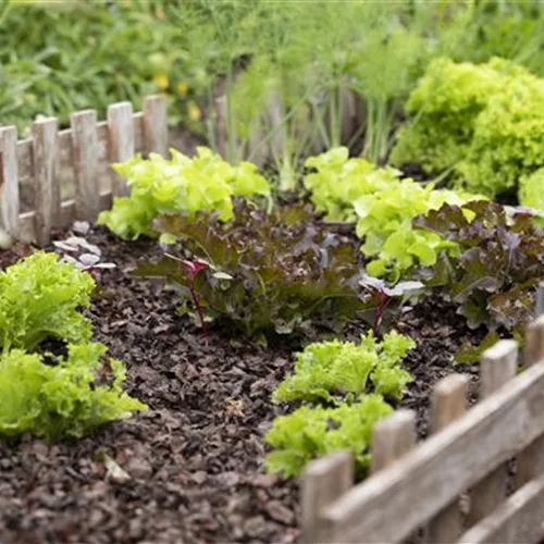 Richtige Blumenerde - Lebenselixier für Pflanzen