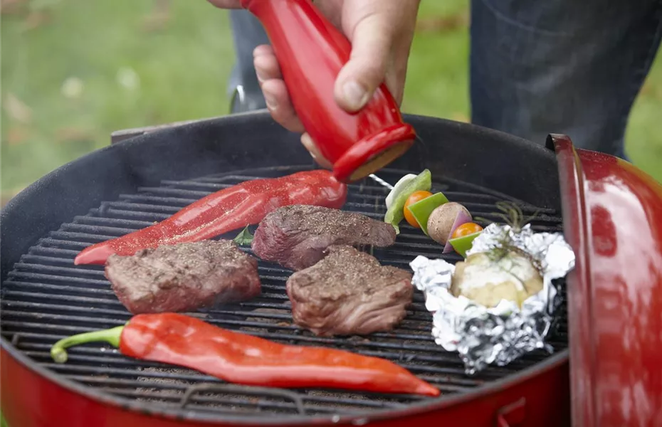 Grillen im Garten ist das ganze Jahr der Hit