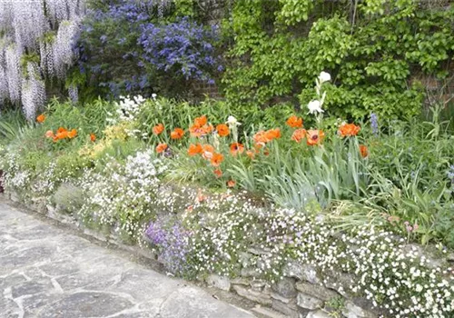 Staudengarten – Blüten, so weit das Auge reicht