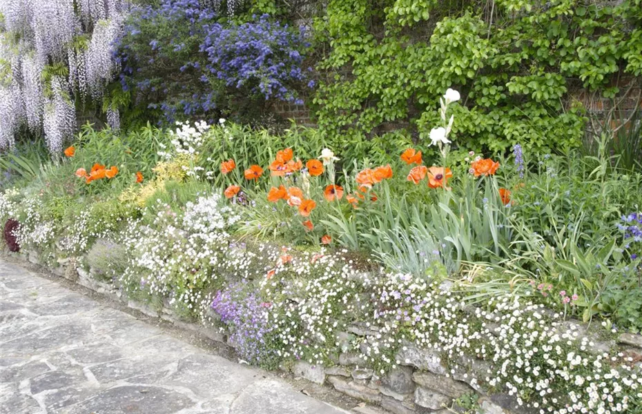 Staudengarten – Blüten, so weit das Auge reicht