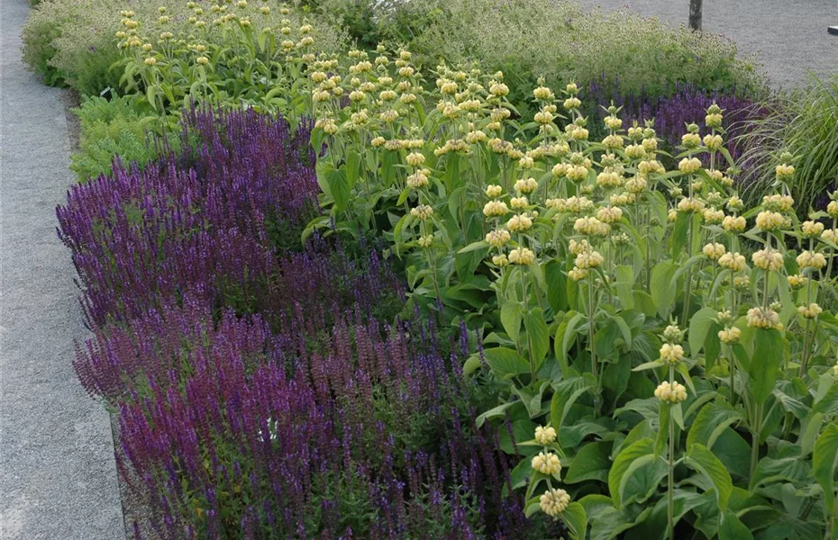 Staudengarten – Blüten, so weit das Auge reicht