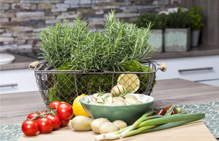 Frische Kräuter im eigenen Garten für die Küche