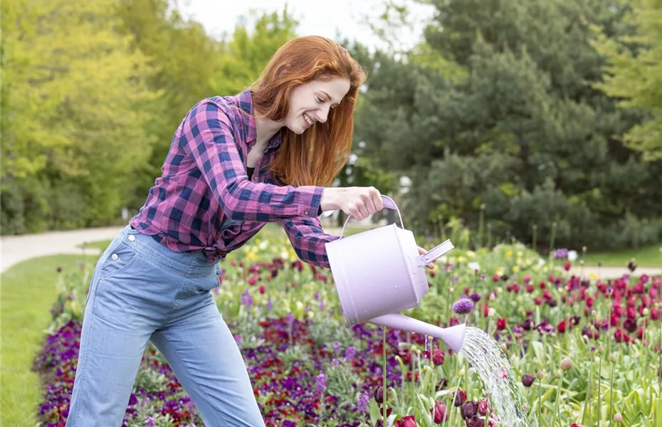 Für jeden Garten den richtigen Regenwassertank