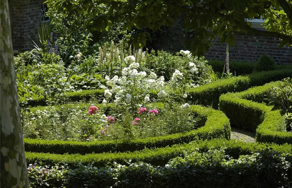 Stauden im Bauerngarten voll und ganz genießen