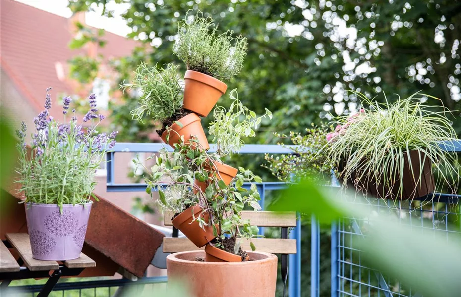 Urban Gardening: Kräutergarten