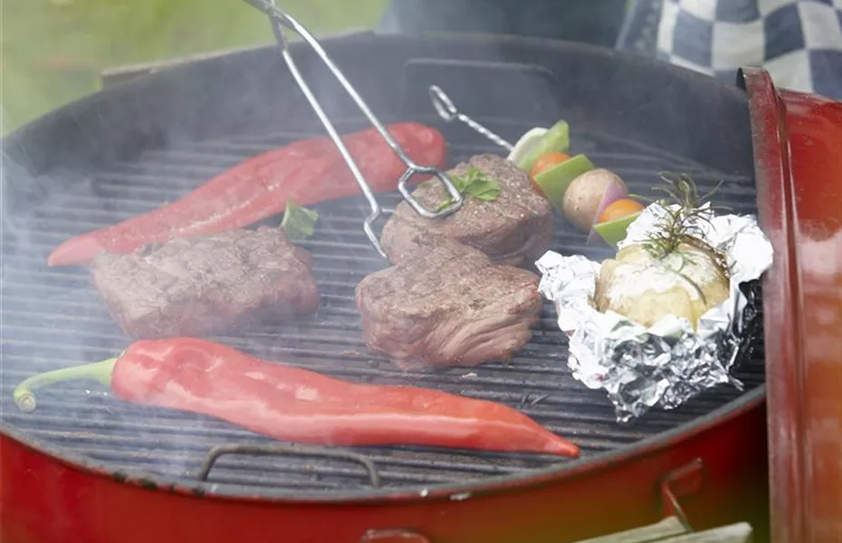 Start der Grillsaison: So wird der Grillspaß ein Erfolg