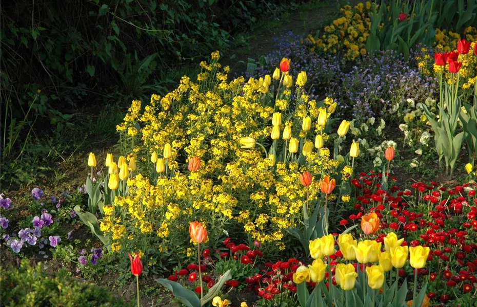 Blumenzwiebeln und Knollen: Ab in den Urlaub!