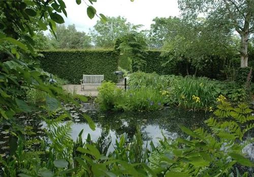 Gartenteich selbst machen – Das ist gut zu wissen