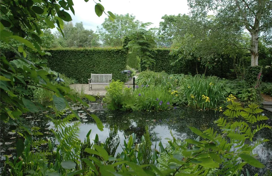 Gartenteich selbst machen – Das ist gut zu wissen