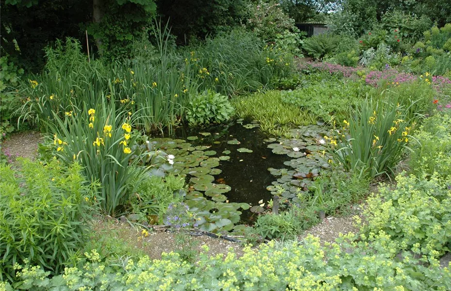 Gartenteich selbst machen – Das ist gut zu wissen