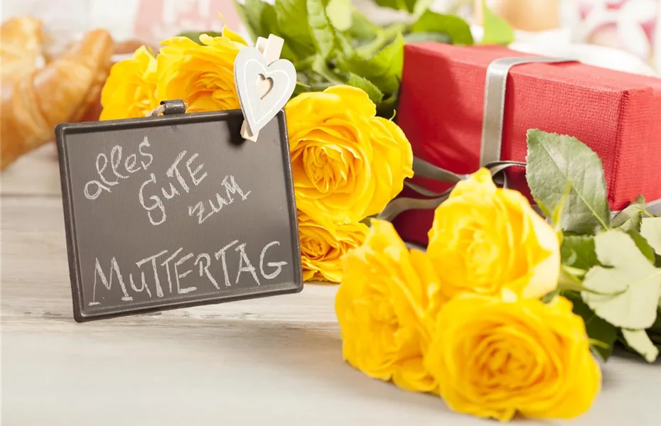 Am Muttertag sagen Blumen mehr als Worte