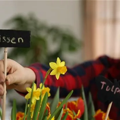 Namensschilder für Blumen basteln