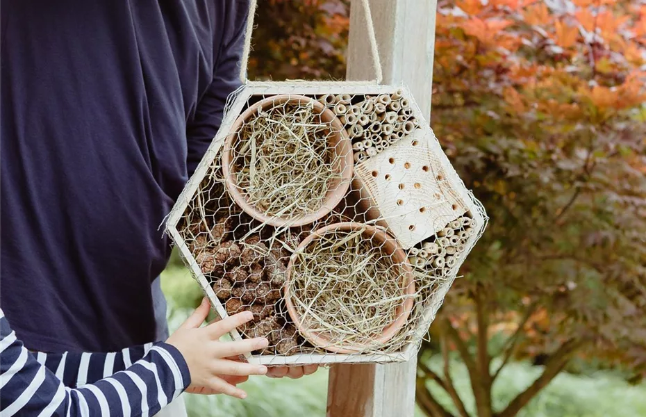 Das Insektenhotel – Wohnanlage für nützliche Tiere