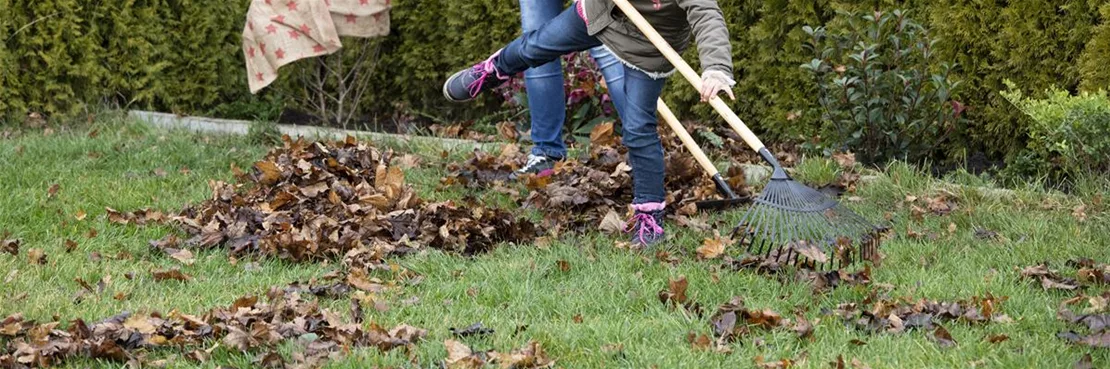 Die richtigen Gartengeräte für einen strahlenden Garten