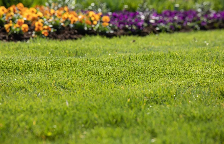 Für jeden Garten den richtigen Rasen